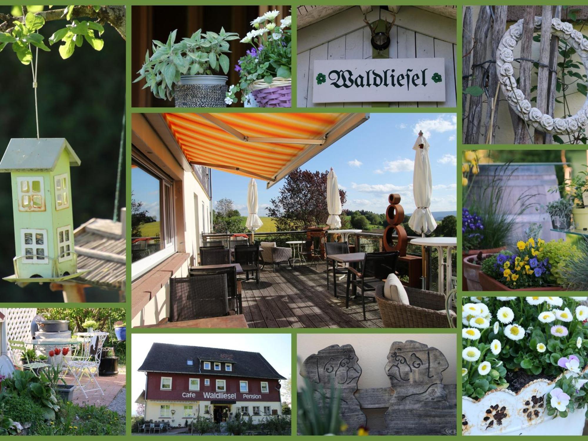 Pension Waldliesel Dornstetten Buitenkant foto